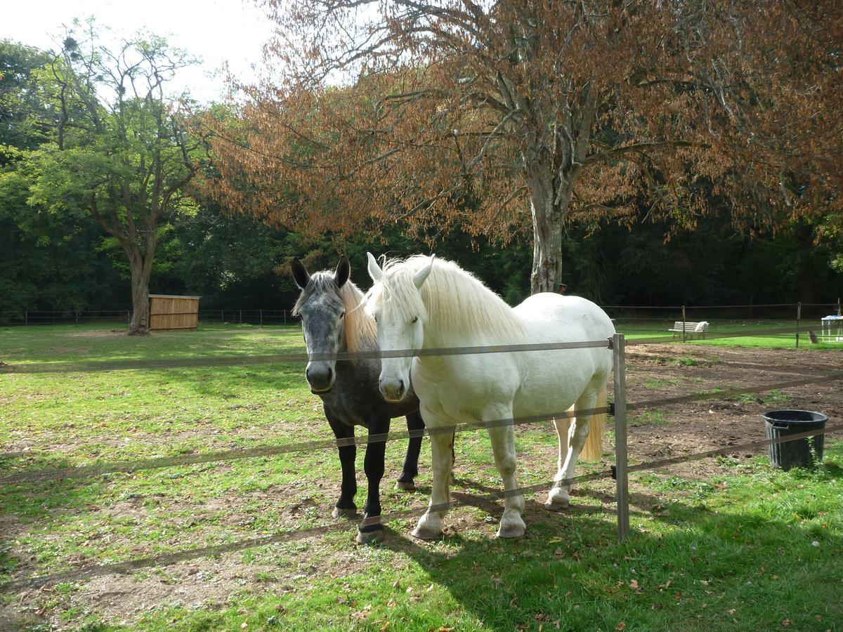 Chateau De Paradis (Adults Only) Bed and Breakfast La Croix-en-Touraine Εξωτερικό φωτογραφία